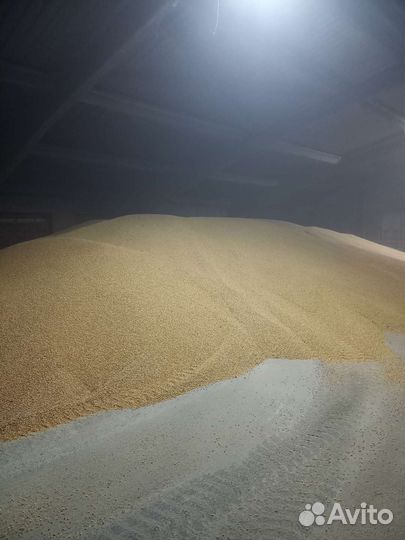 Перевалка Зерно