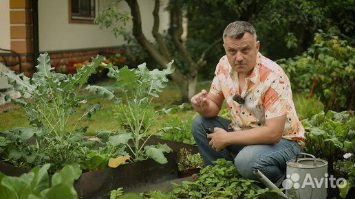 Услуги Агронома (Выезд на участок)