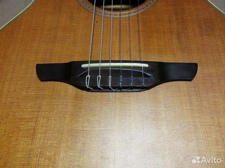 Takamine NPT-110N (нейлон)