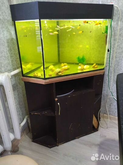 Аквариум