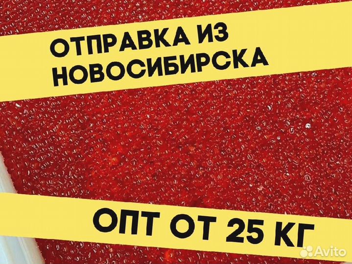 Икра нерки красная, улов 2023