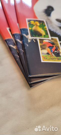 Набор: Журнал с дефектом + 3 блока Super Animals