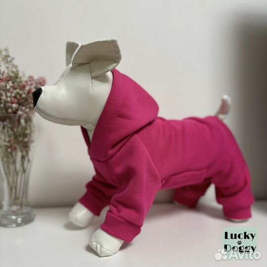 Одежда для собак