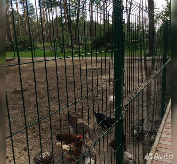 Металлический забор