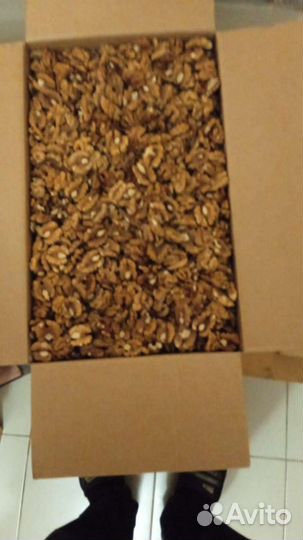 Орех грецкий бабочка