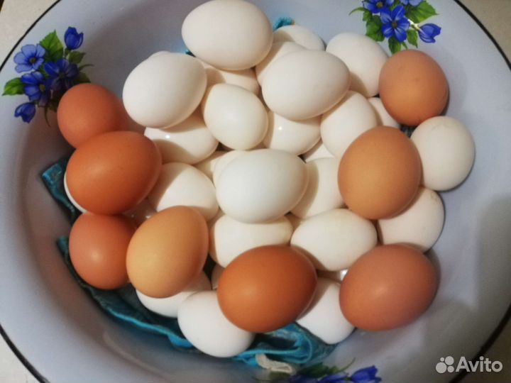 Домашние куриные яйца