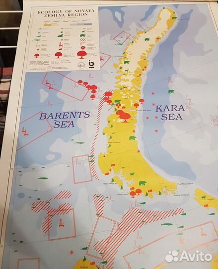 Карта экологии Новой Земли