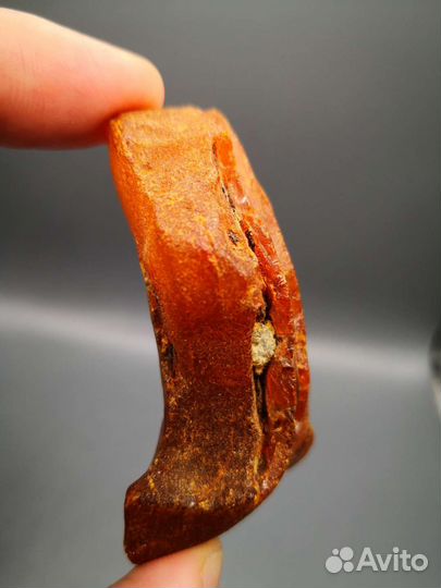 Янтарь балтийский, самородок