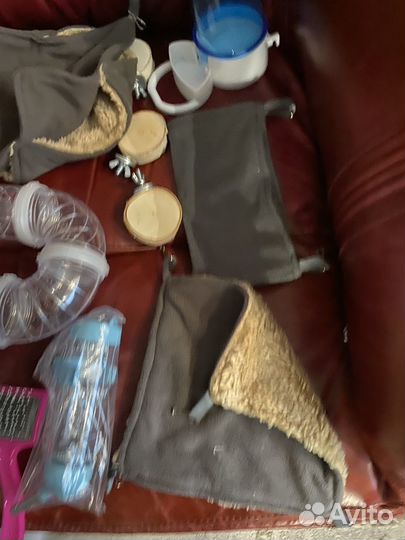 Для крысок)