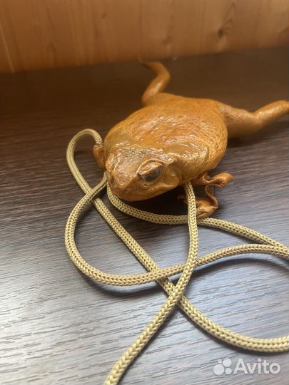 Сумка из жабы