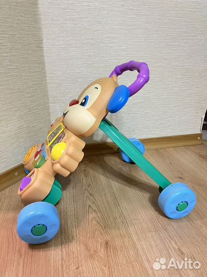 Каталка-ходунки Fisher-Price Ученый Щенок