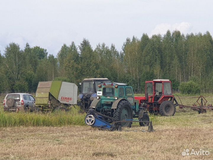 Трактор МТЗ (Беларус) 80, 2000