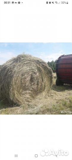 Сено в тюках