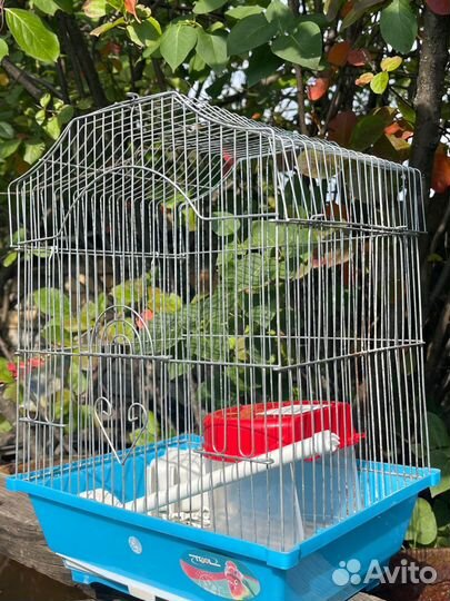 Клетка для волнистого попугая