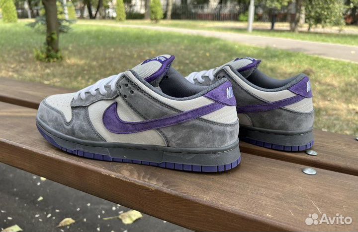 Nike sb dunk low