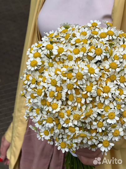 Свадебный букет из ромашек, круглый