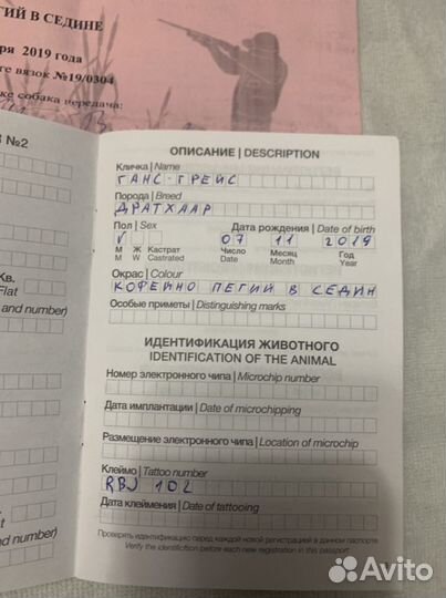 Дратхар вязка