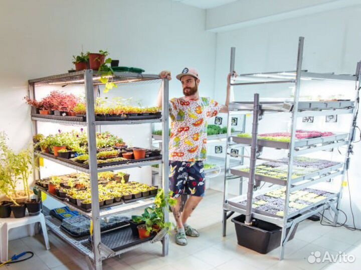 Наставничество в сфере ситифермерства