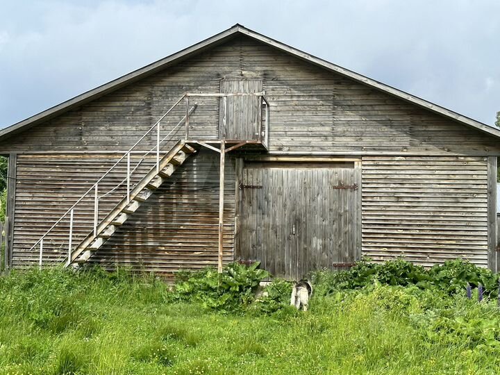 Дом 57 м² на участке 50 сот.