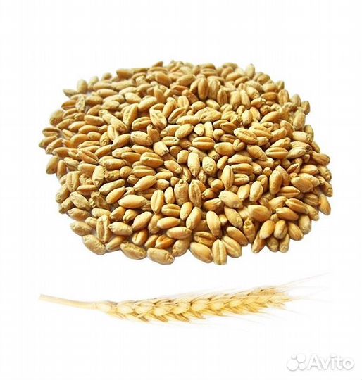 Пшеница, 30кг