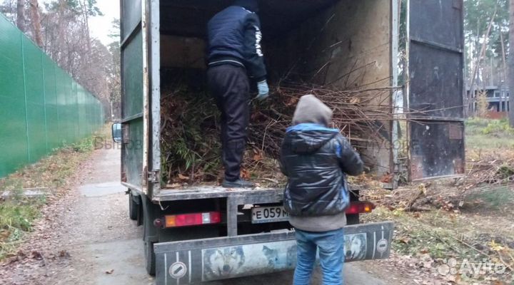 Вывоз мусора