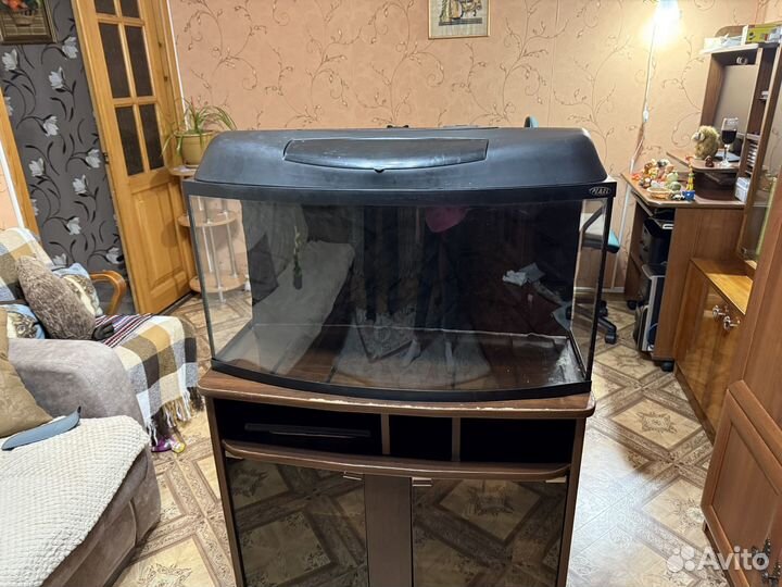 Аквариум бу