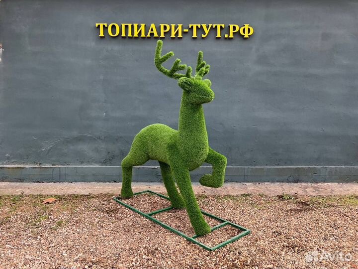 Топиари Топиарные фигуры Садовые фигуры