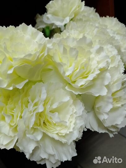 Гвоздика силиконовая