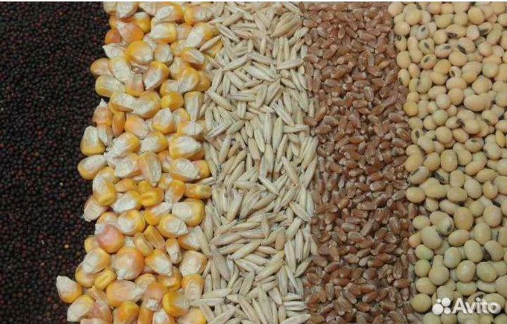 Мука для с/х животных. Свое производство. Опт