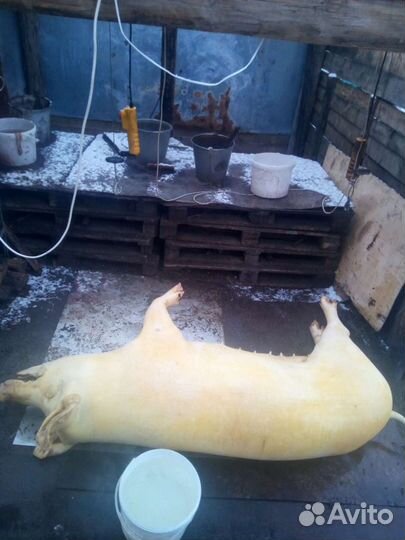 Шикарное домашнее мясо