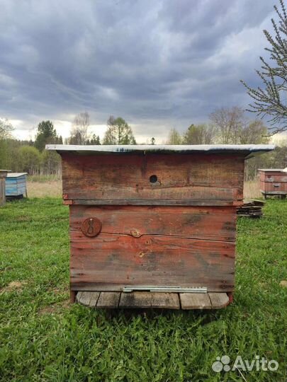 Ульи для пчел