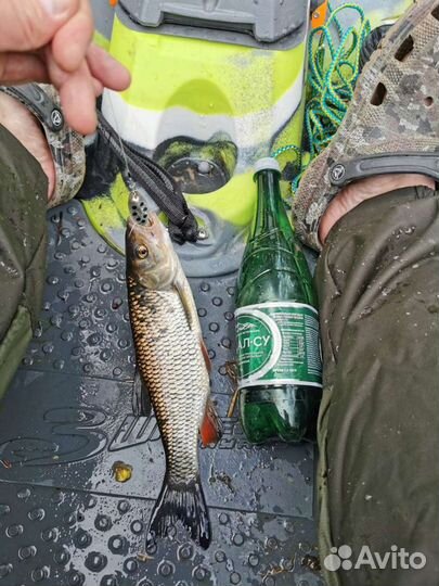 Сплавы по Волге и Селижаровке