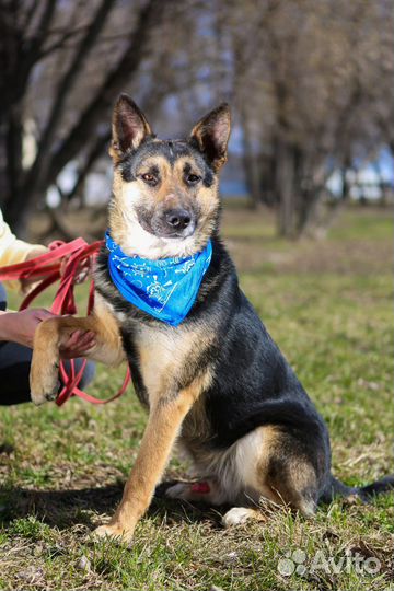 Мододой мальчик Лукум