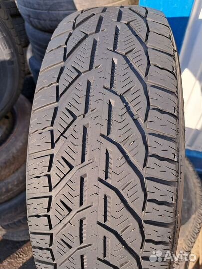 Tigar Winter 205/65 R16 95H
