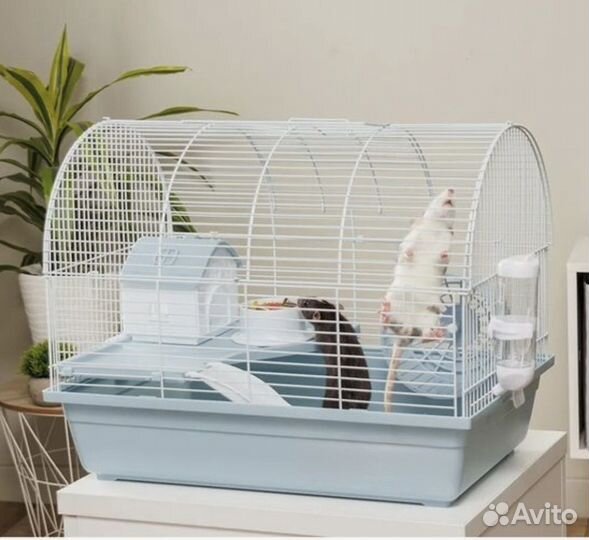 Клетка для грызунов