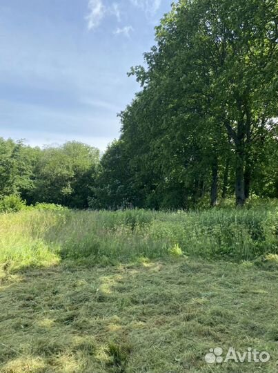 Покос травы триммером