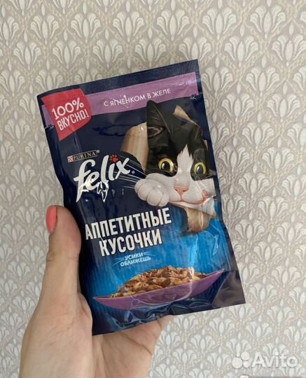 Корм Felix Феликс ягнёнок бесплатная дост. Иваново