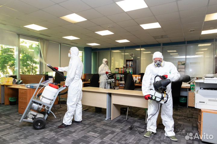 Дезинфекция. Уничтожение тараканов клопов грызунов