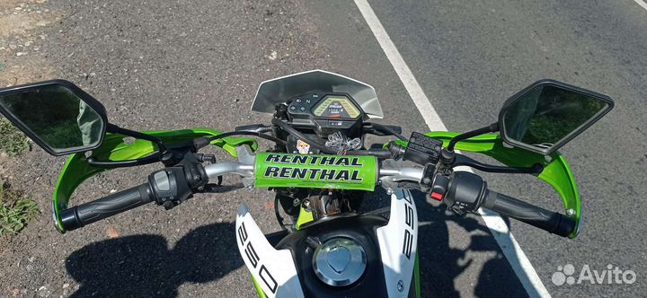 Рейсер пантера 250