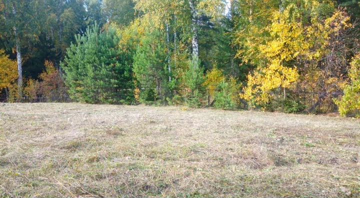 Участок 7,2 сот. (СНТ, ДНП)