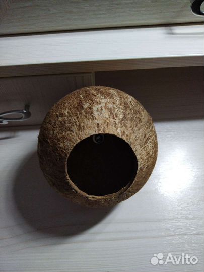 Гнездо для птиц