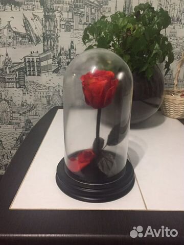 Вечная роза в колбе