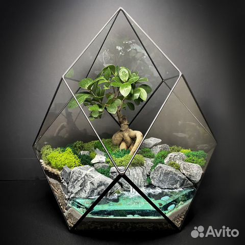 Флорариум 
