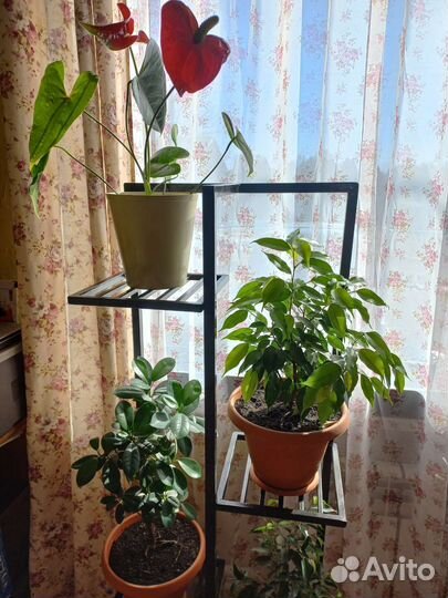 Подставка для цветов напольная металлическая