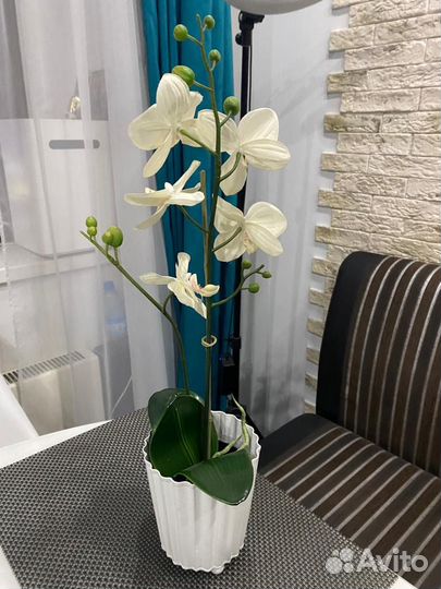 Кашпо и орхидея IKEA 53 см