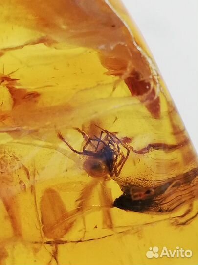 Коллекционный Янтарь с инклюзами Вес 15,8 гр