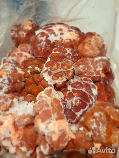 Корм для животных. Говядина. Субпродукты