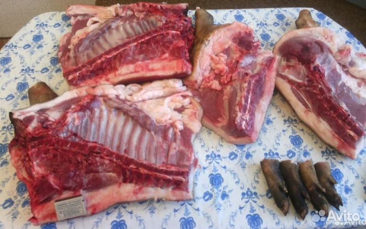 Домашнее мясо вьетнамская кабан эко продукт