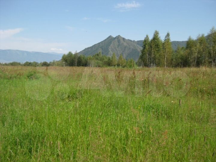 Участок 8,3 га (СНТ, ДНП)
