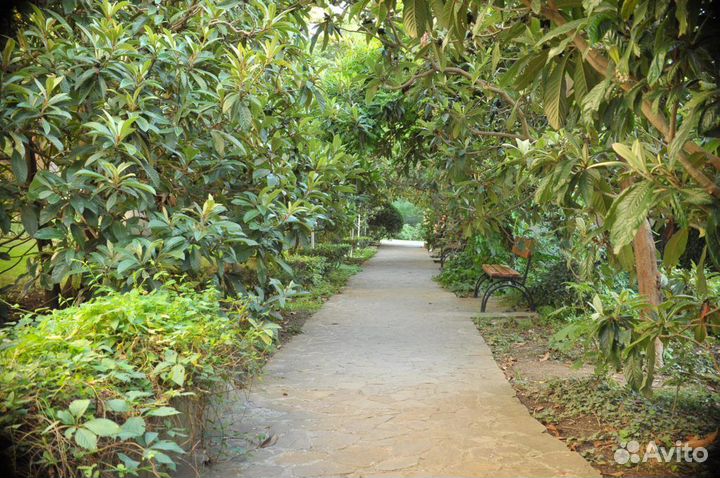 Садовник /озеленитель/начинающий специалист